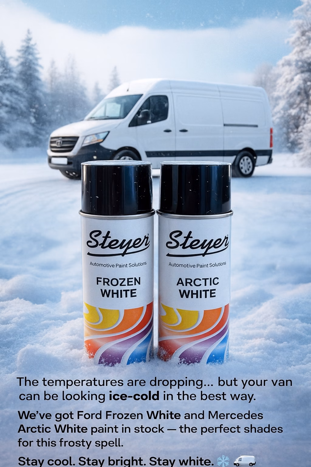 Steyer Ford frozen white and Mercedes Arctic white car paint